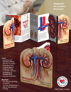 PhRMA Products from LinJen Promotions