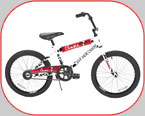 Custom Bike