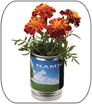 Springtime Products