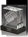Custom Award